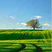 内‌容‍精​确​